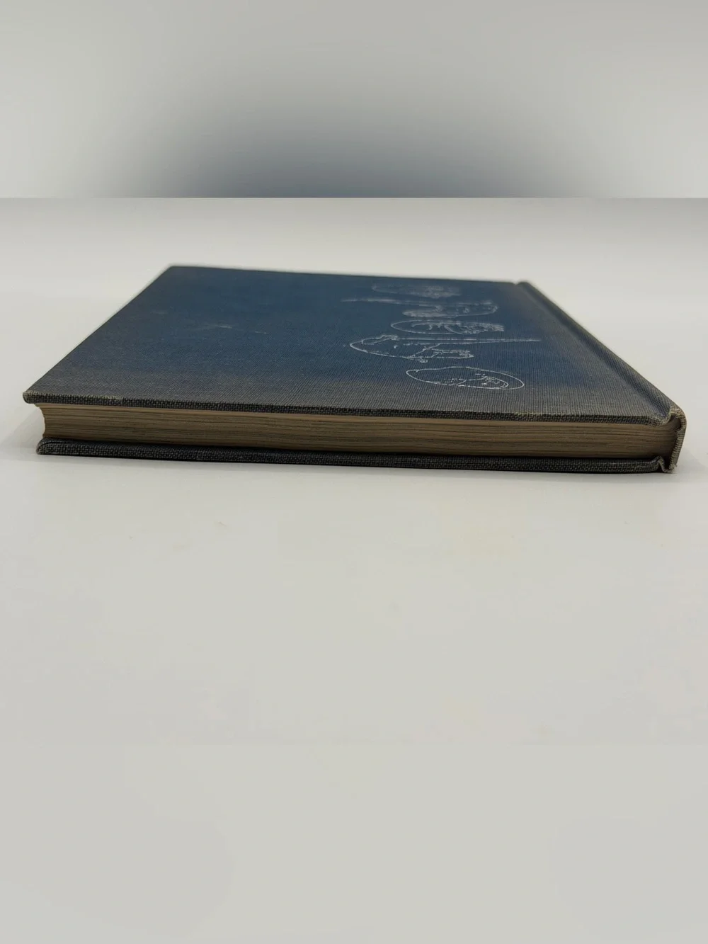 The Otter's Tale by Gavin Maxwell (Hardcover Book, 1962) First Edition